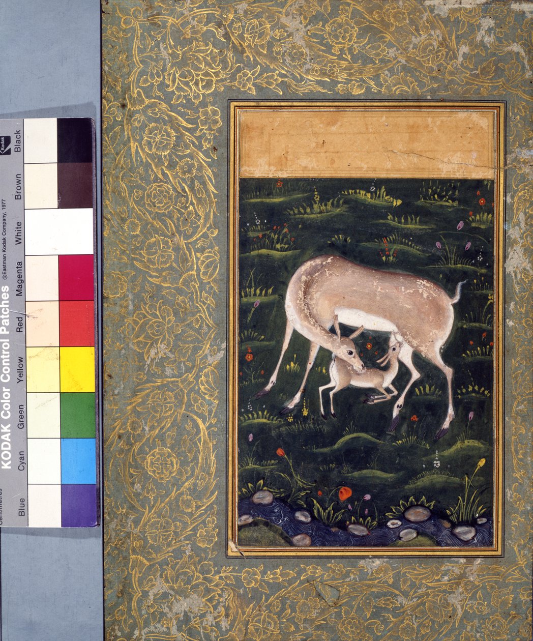 Geyik yavrusunu emziren bir geyik, c.1560 (kağıt üzerinde opak sulu boya ve altın rengi) [ayrıca bkz. 6040456] by Mughal School