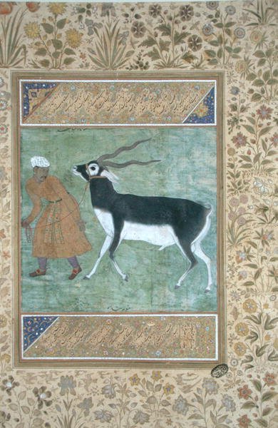 Kaleci tarafından yönetilen bir Hintli siyah para, c.1616 (kağıt üzerinde opak suluboya ve altın rengi) by Mughal School