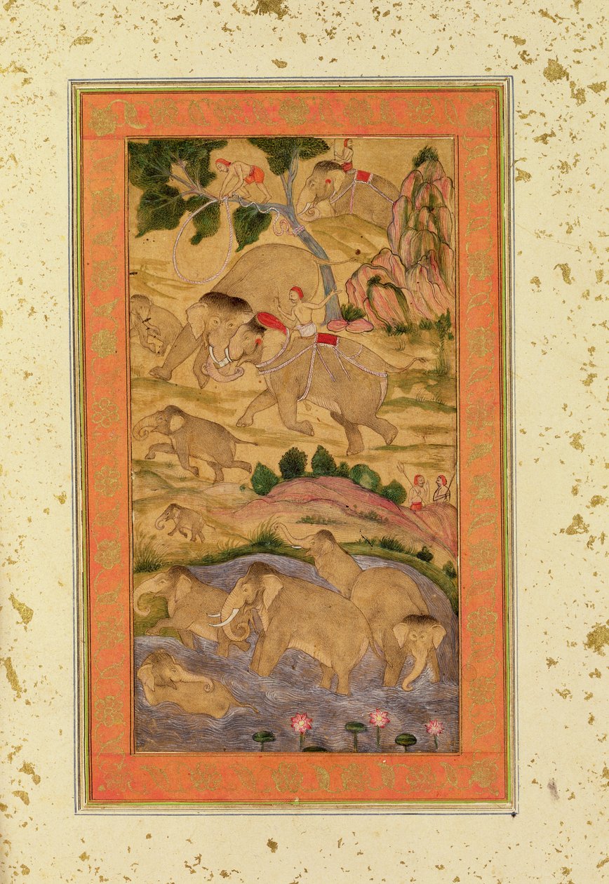 Filleri Yakalayan Avcılar, Büyük Clive Albümünden, c.1760-65 (kağıt üzerine renkli çizim) by Mughal School