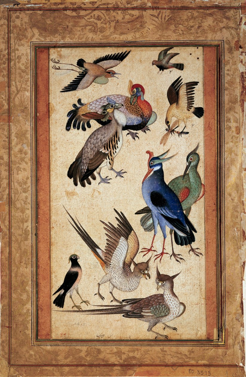 On kuş. Okul moğolunun guajında minyatür resim by Mughal School