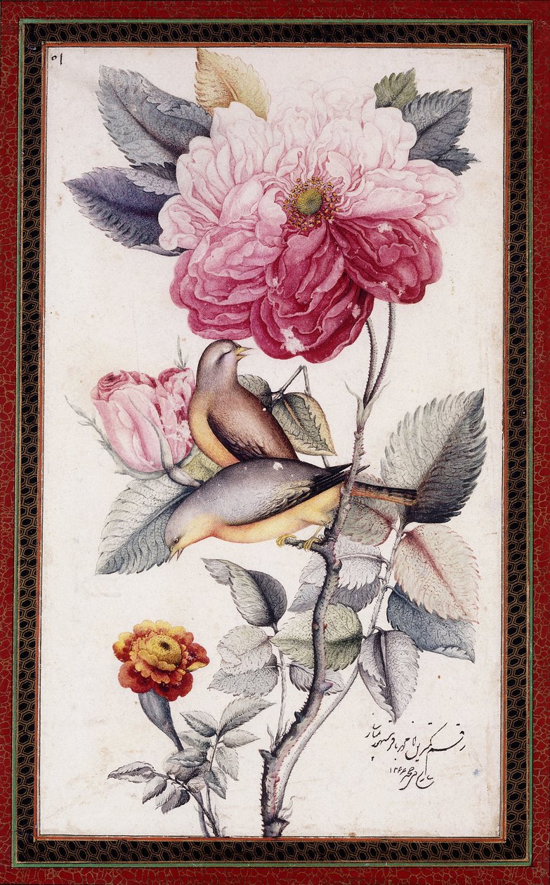 Gül-o Bülbül, c. 1849-50 (kağıt üzerine sulu boya) by Muhammad Baqir