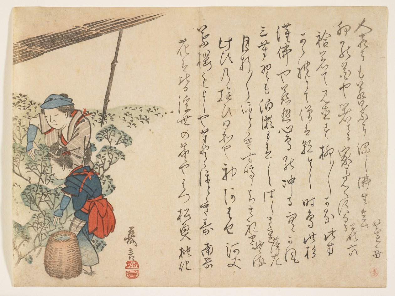 Çay Toplayıcılar, c.1830-44 (renkli tahta baskı) by Murata Kagen