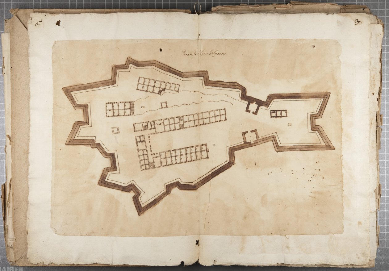 Urbino