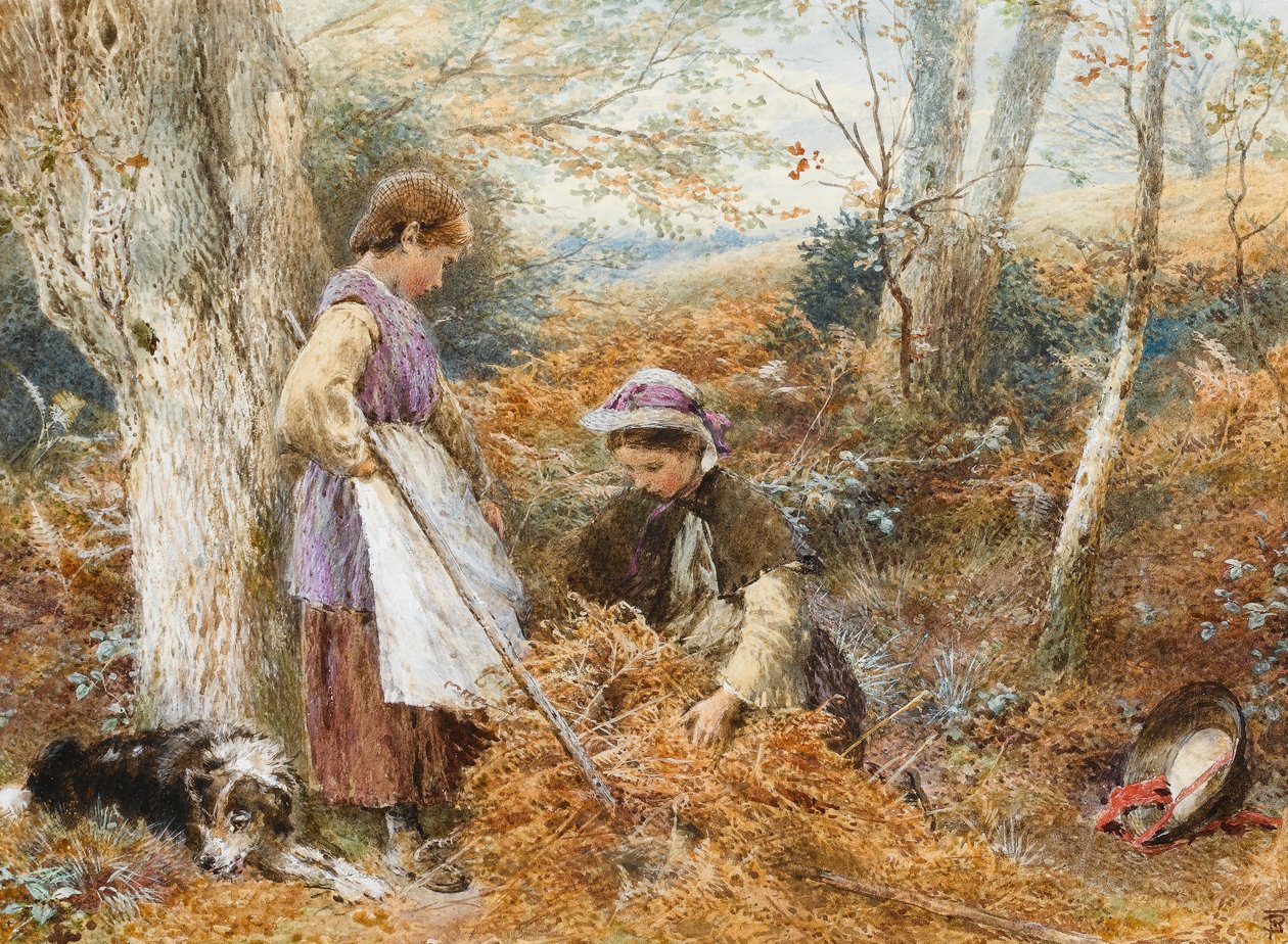 Eğreltiotu Toplayıcıları (kağıt üzerinde wc) by Myles Birket Foster