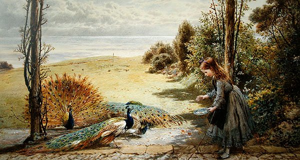 Tavus kuşları (kağıt üzerine sulu boya) by Myles Birket Foster