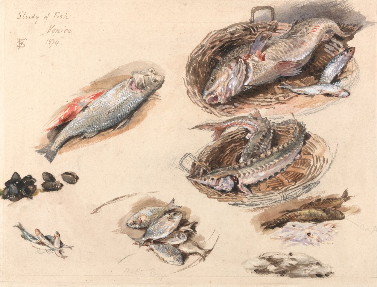 Balık Çalışması, Venedik by Myles Birket Foster