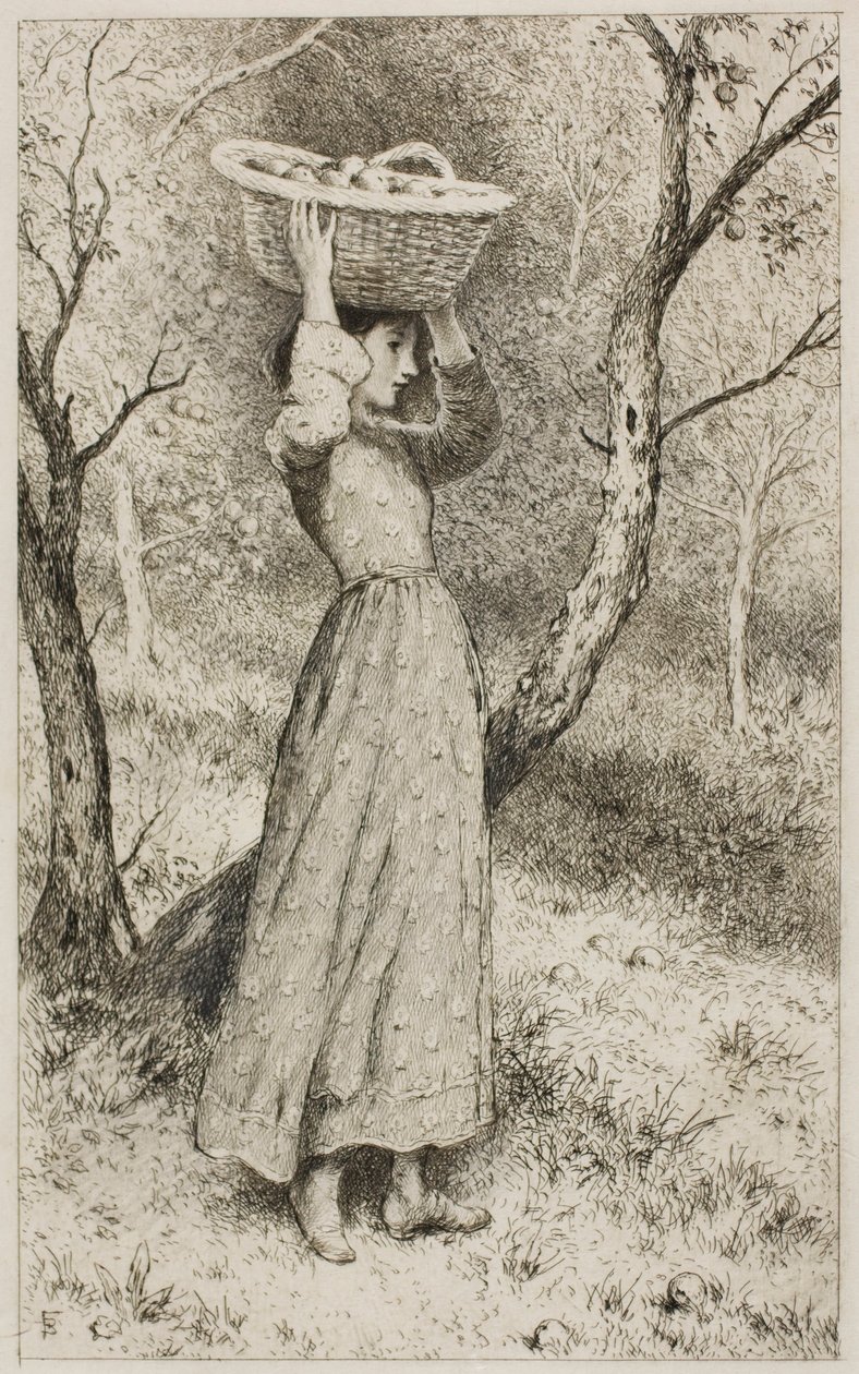 Meyve Sepeti ile Bir Meyve Bahçesinde Genç Kız by Myles Birket Foster