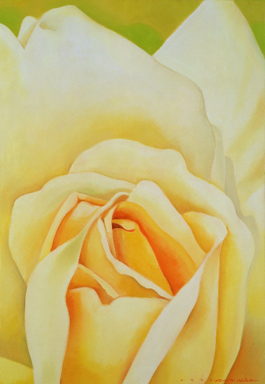 Gül, 1995 by Myung Bo Sim