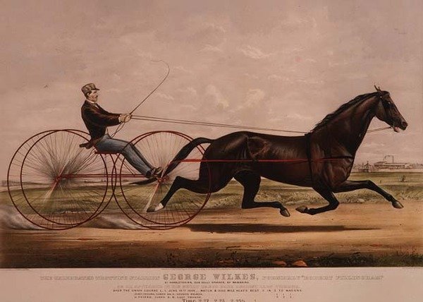 Ünlü Paça Aygırı George Wilkes, 14 Haziran 1866