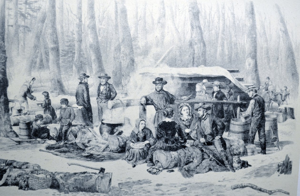 Currier & Ives İllüstrasyon 19. Yüzyıl. Amerikan Orman Sahnesi, Akçaağaç Şekerleme by N. and Ives, J.M. Currier