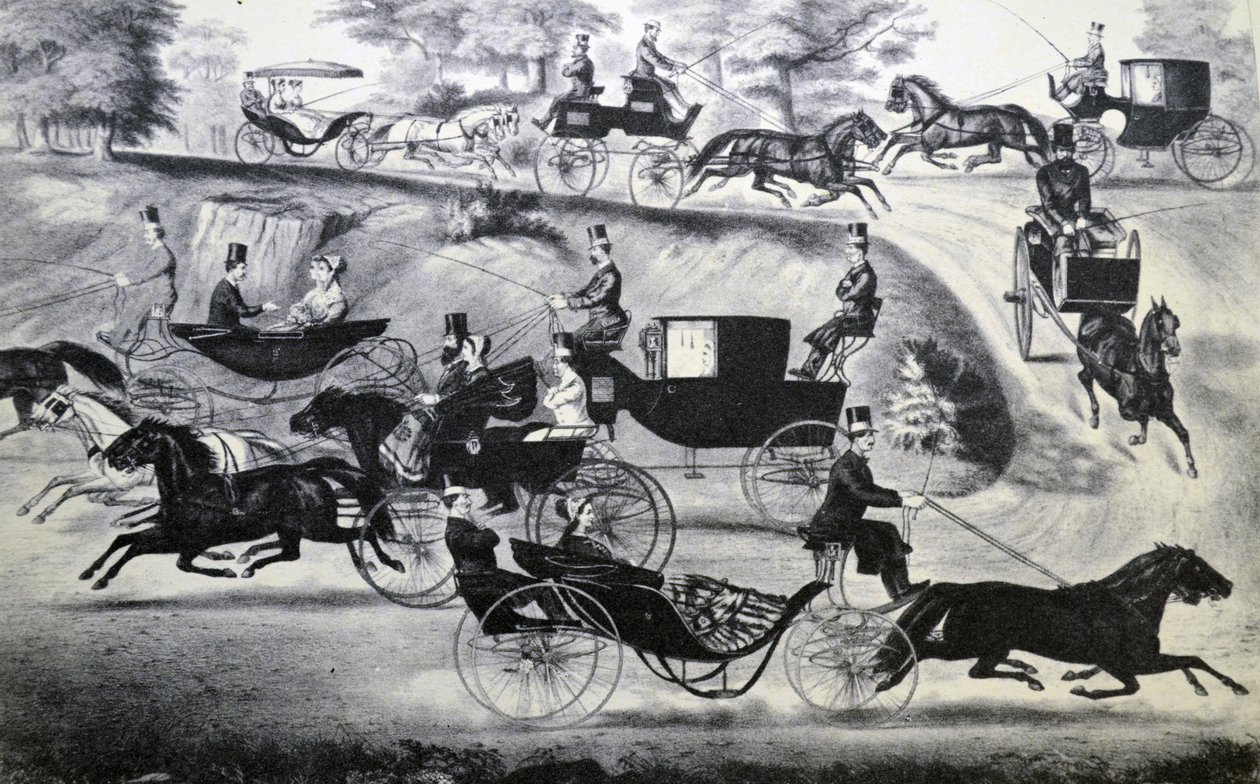 Currier & Ives İllüstrasyon 19. Yüzyıl. Central Park