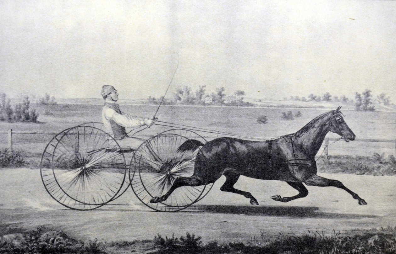 Currier & Ives İllüstrasyon 19. Yüzyıl. Flora Tapınağı by N. and Ives, J.M. Currier