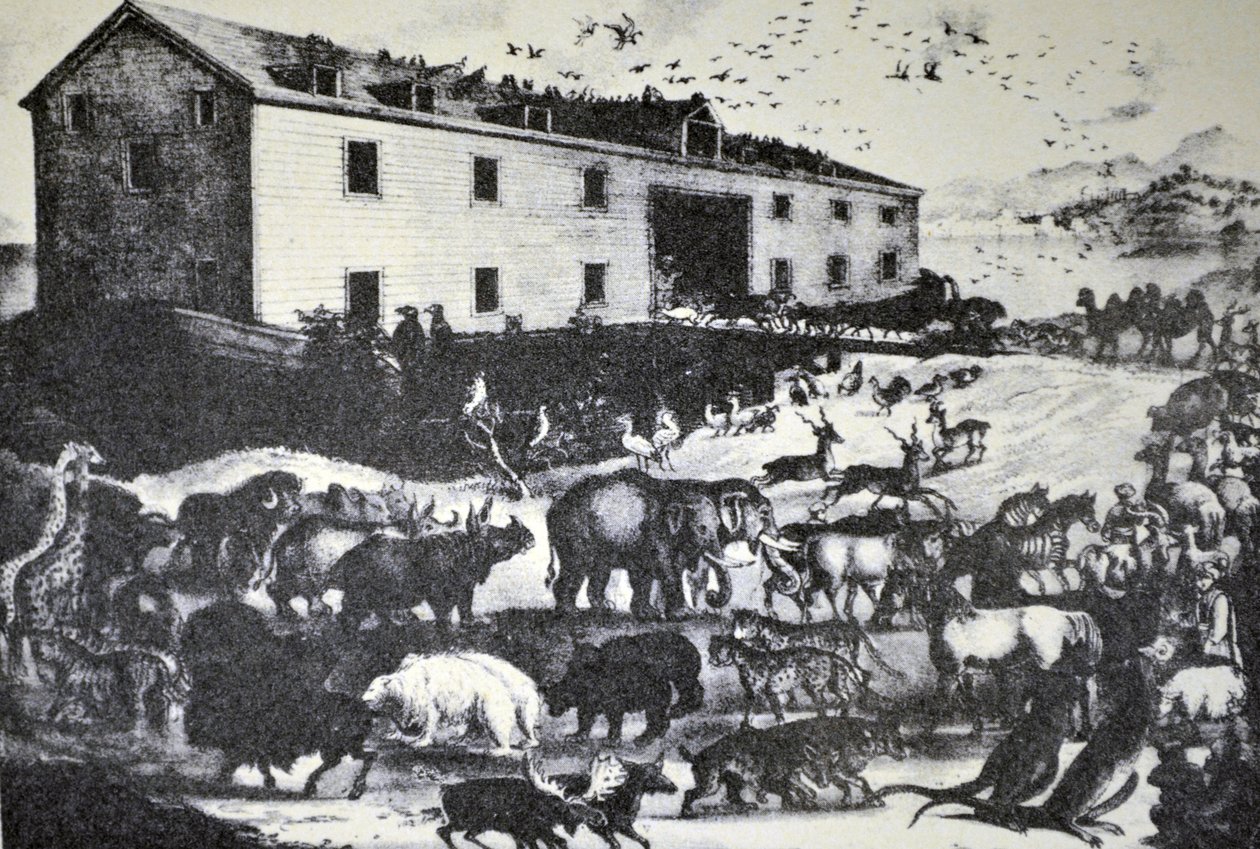 Currier & Ives İllüstrasyon 19. Yüzyıl. Nuh