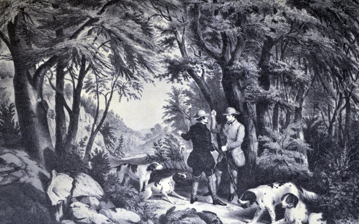 Currier & Ives İllüstrasyon 19. Yüzyıl. keklik çekimi by N. and Ives, J.M. Currier