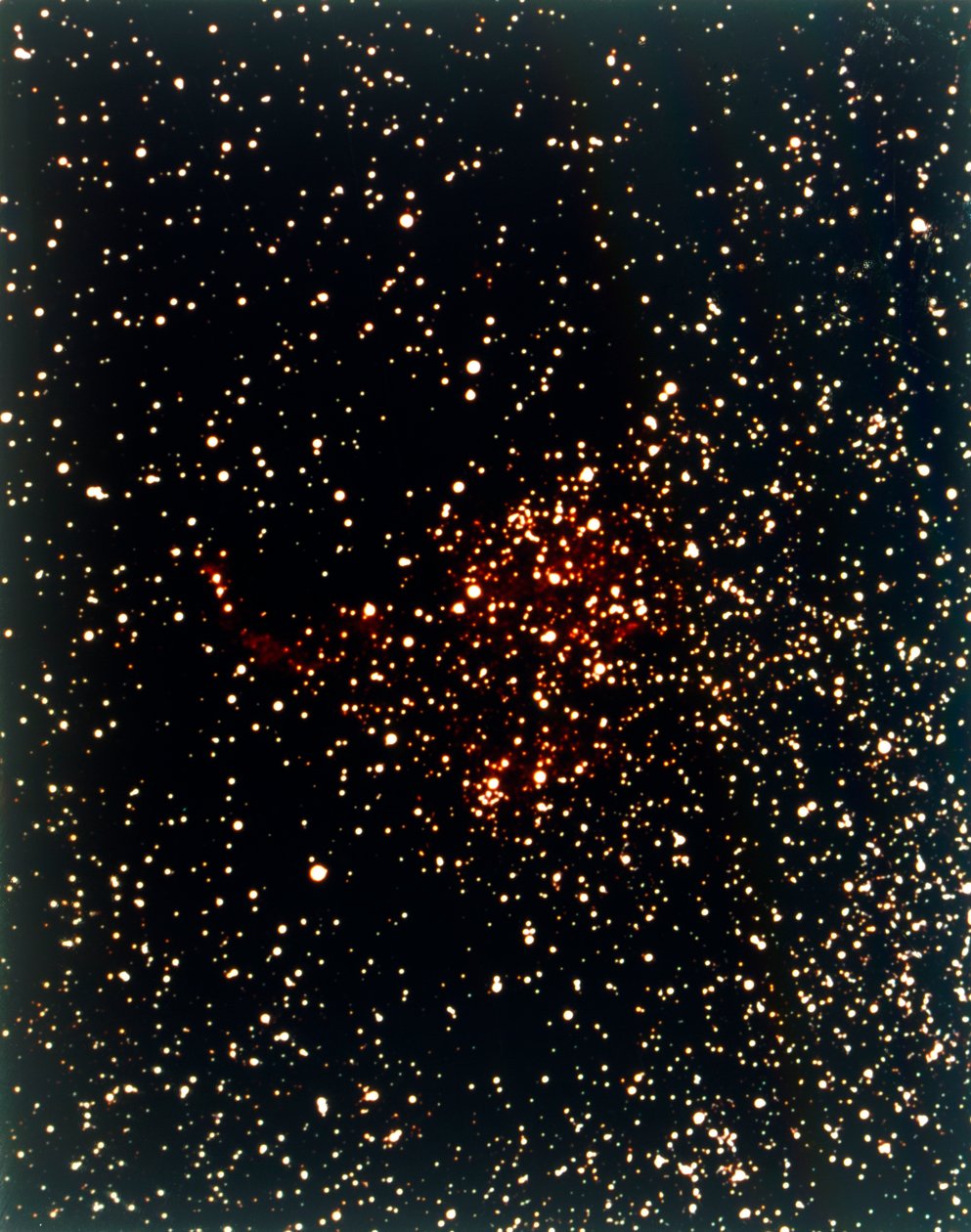 Cygnus