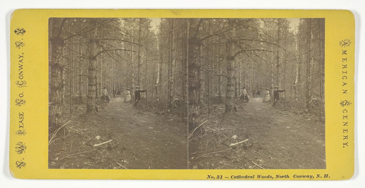 Katedral Woods, Kuzey Conway, N.H., Orta 19. yüzyıl. by N.W. Pease