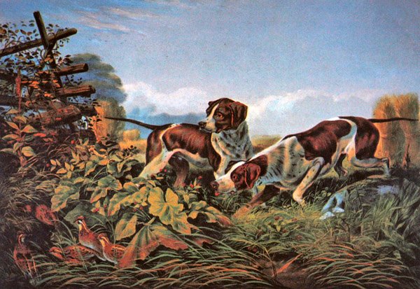 Amerikan Saha Sporları: Bir Noktada by Currier and Ives