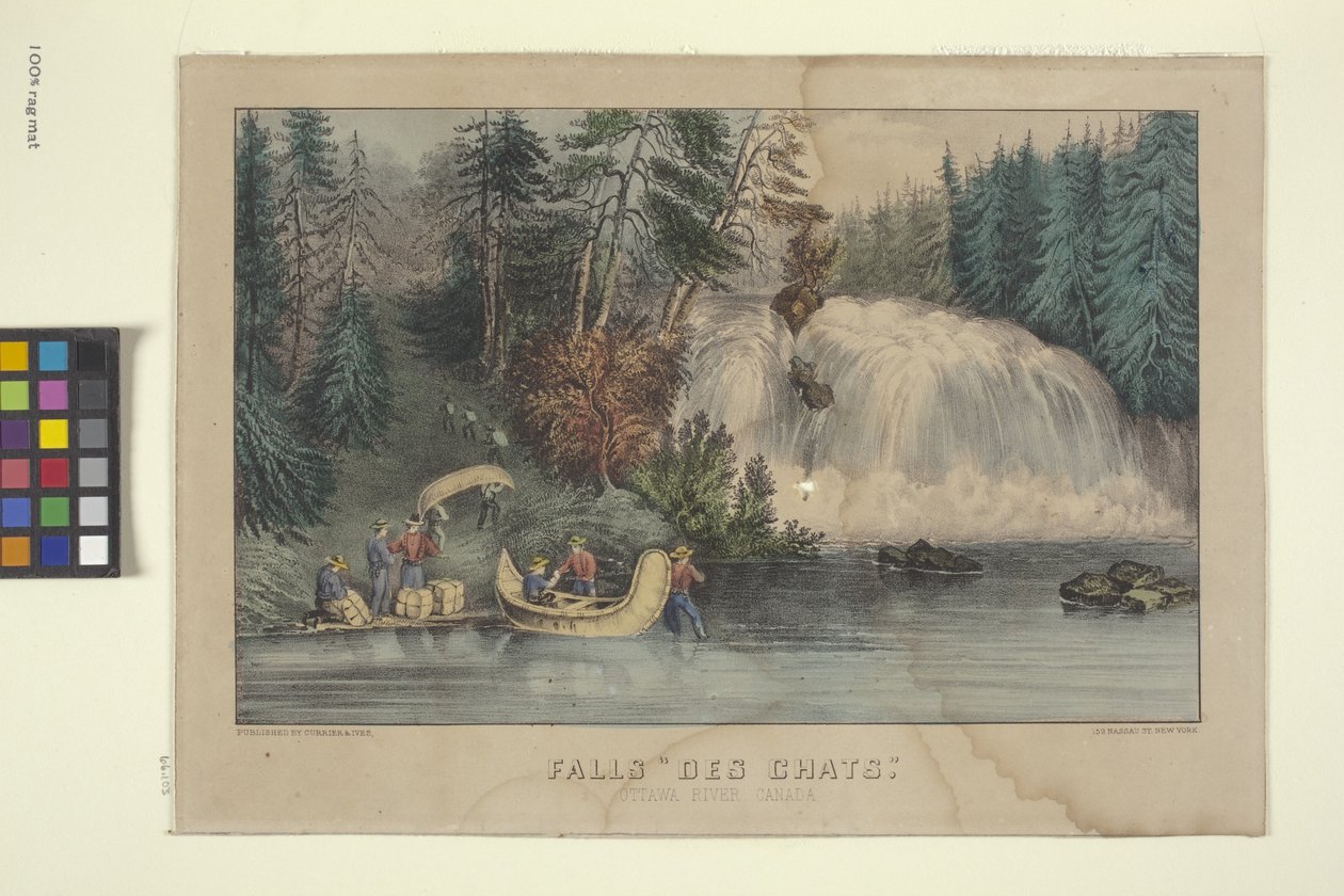 Falls "Des Chats" (elle boyanmış litografi) by N. and Ives J.M. (1824 95) Currier