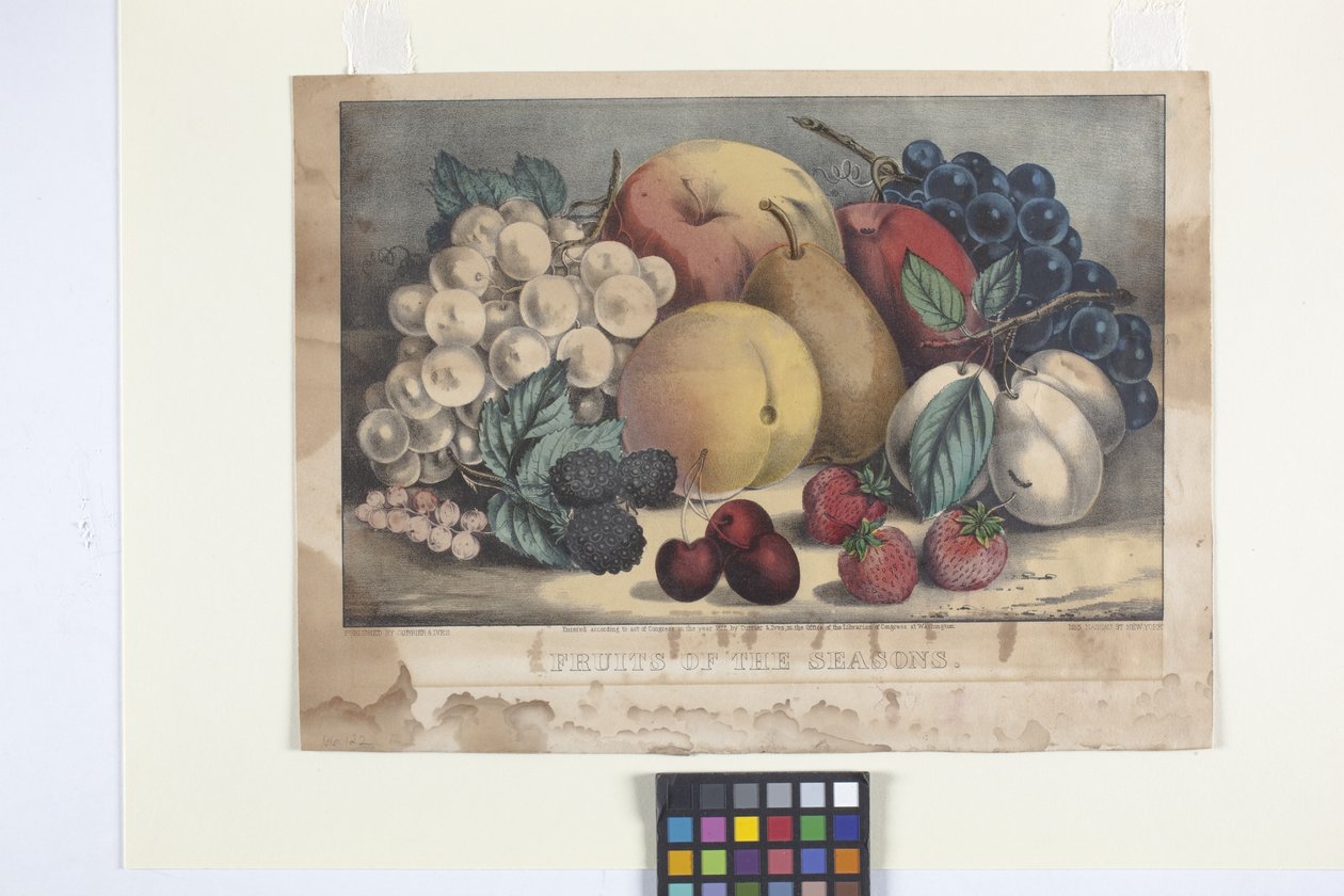 Mevsim Meyveleri (el boyaması taşbaskı) by N. and Ives J.M. (1824 95) Currier