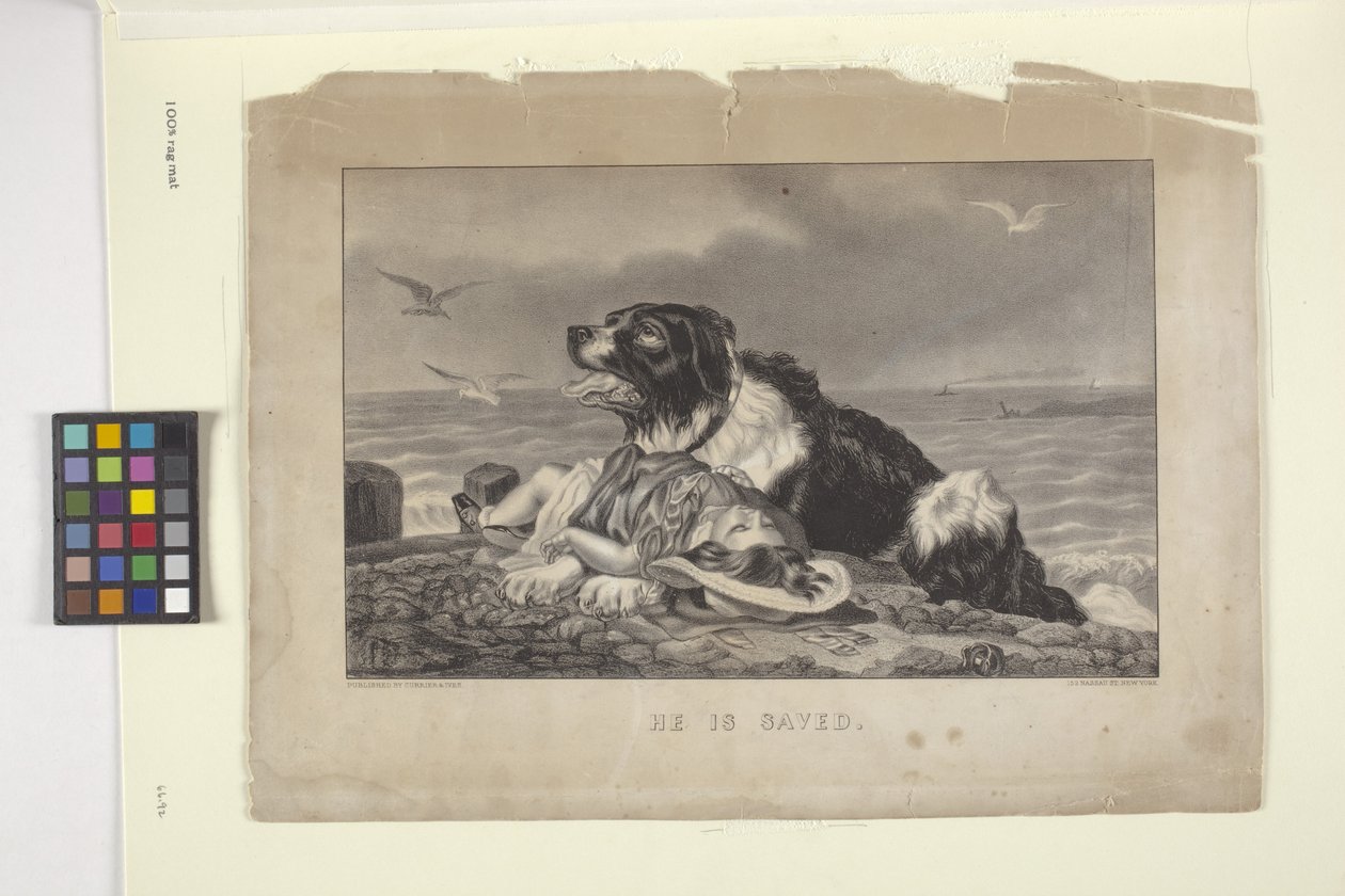 O Kurtuldu (elle boyanmış litografi) by N. and Ives J.M. (1824 95) Currier