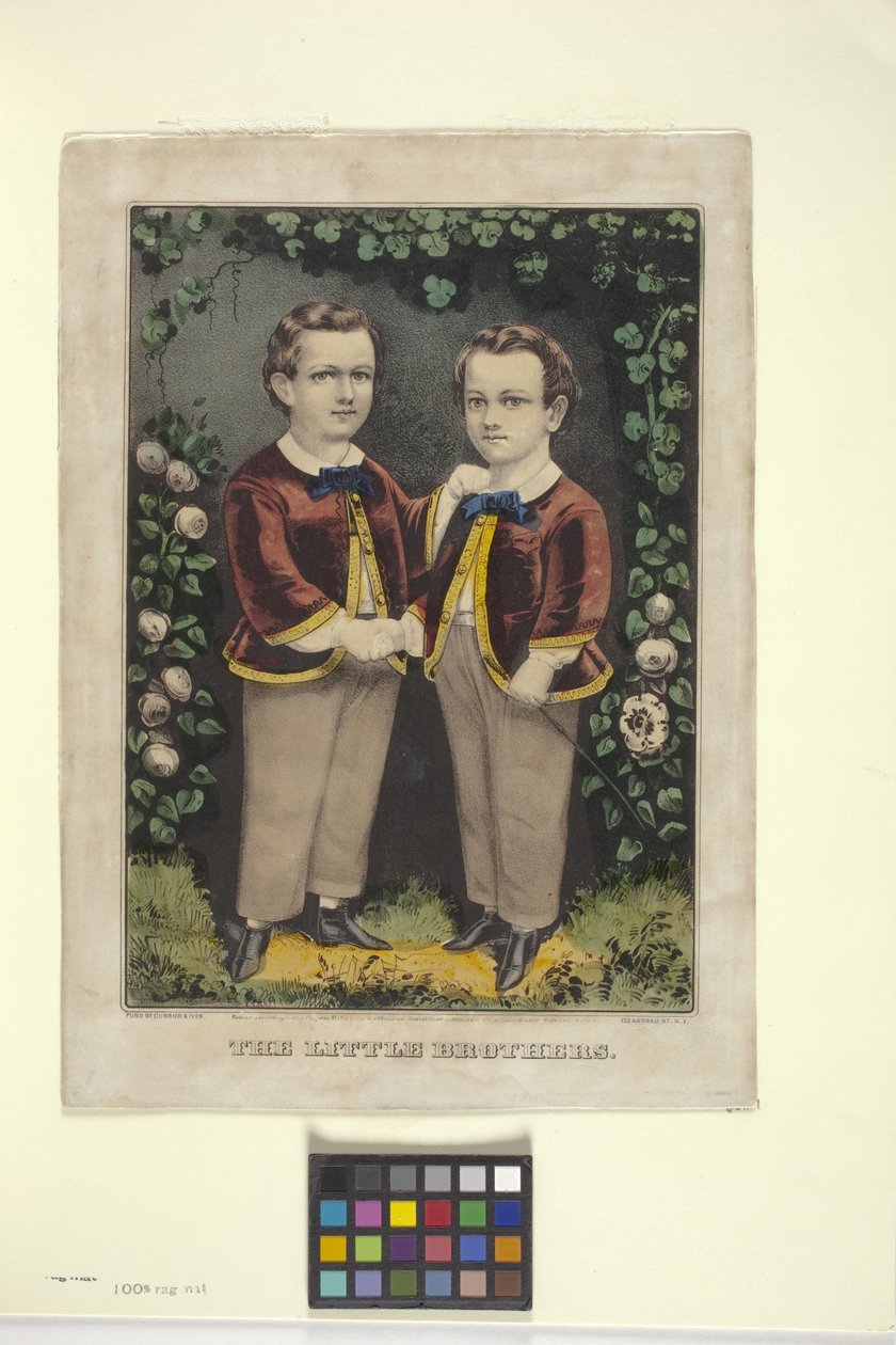 Küçük Kardeşler (elle renklendirilmiş litografi) by N. and Ives J.M. (1824 95) Currier