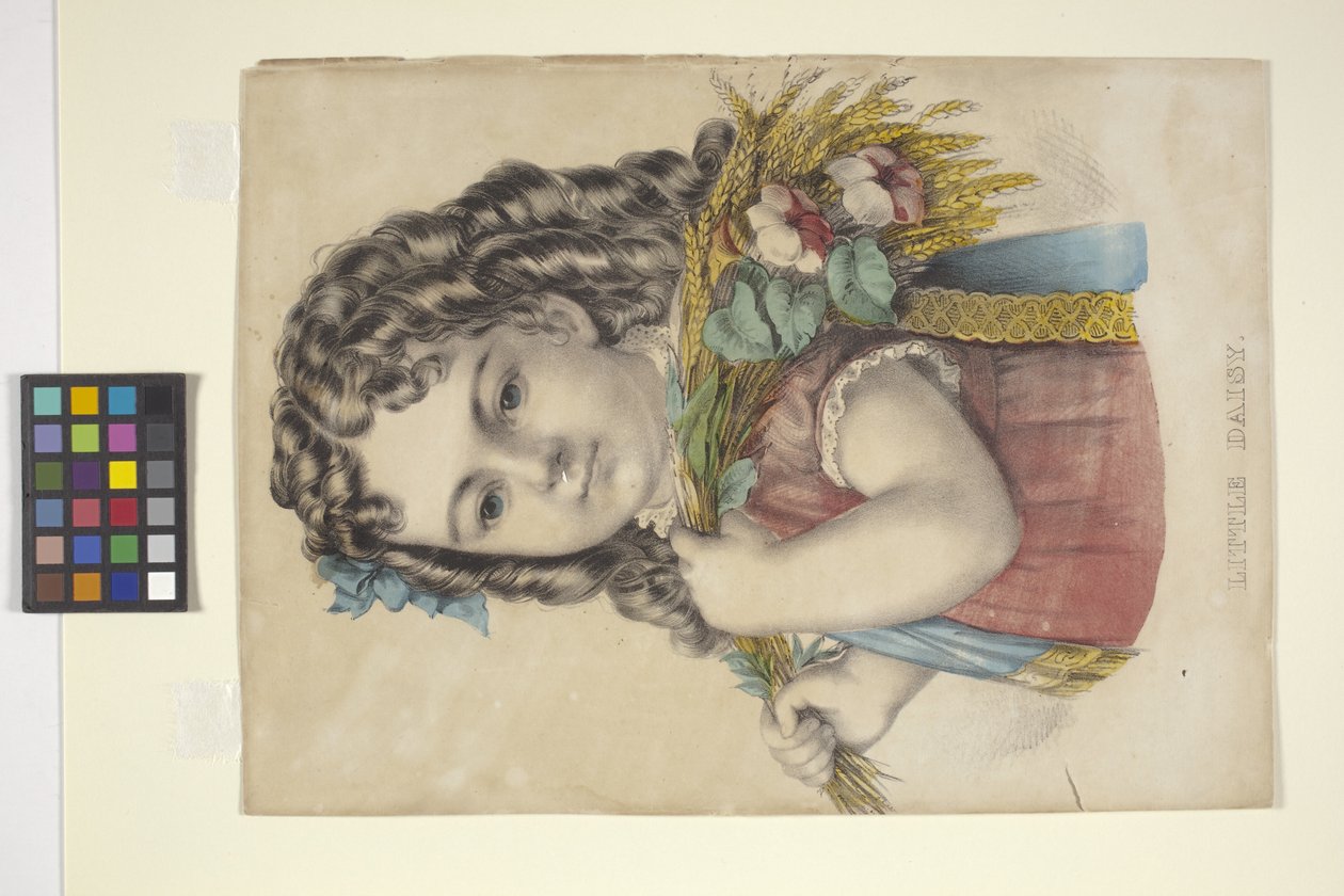 Little Daisy (elle boyanmış taşbaskı) by N. and Ives J.M. (1824 95) Currier