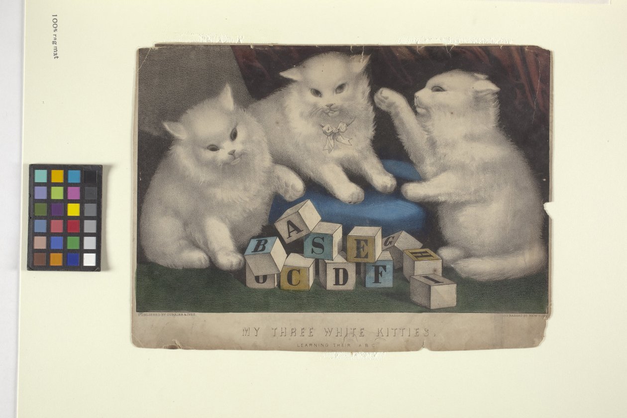 My Three White Kittens (elle boyanmış taşbaskı) by N. and Ives J.M. (1824 95) Currier
