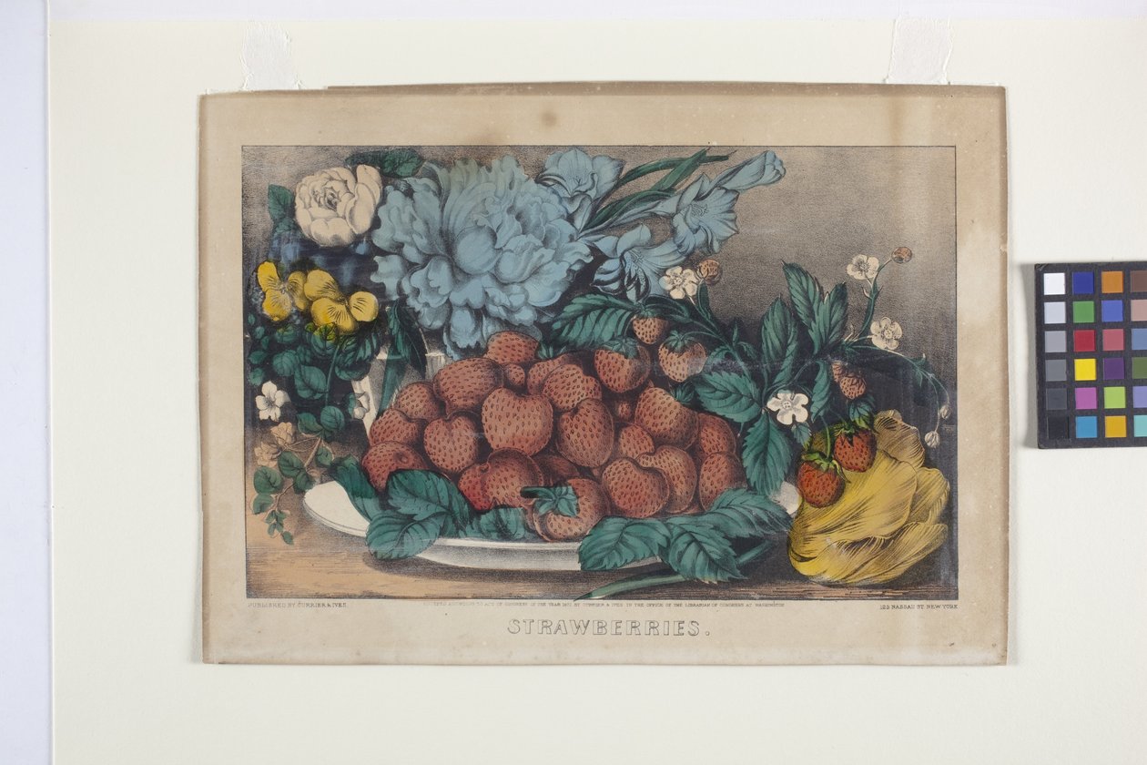Çilek (elle renklendirilmiş litografi) by N. and Ives J.M. (1824 95) Currier