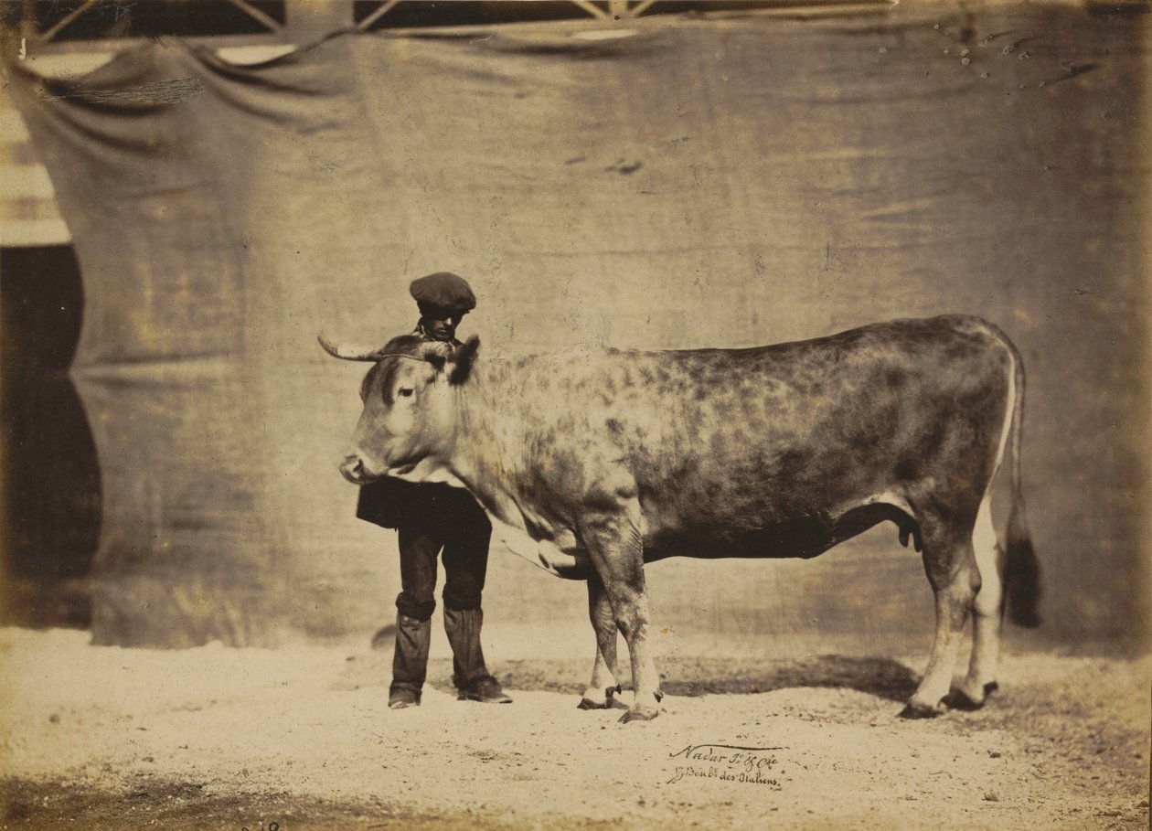  by Nadar Jeune (1825 1903)