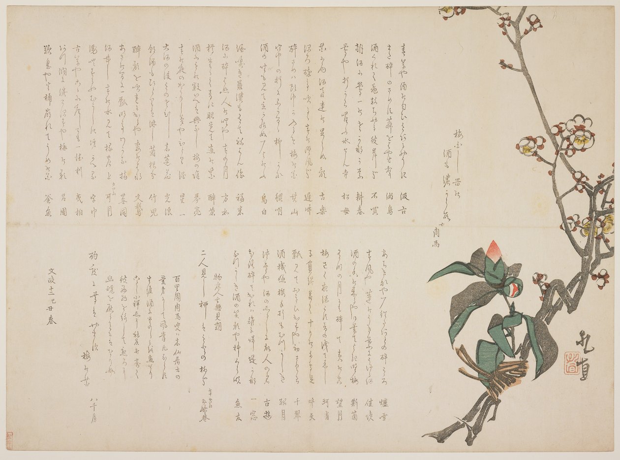 Plum and Camellia Branches, 1829 (colour woodblock print) by Nagayama Kchoku