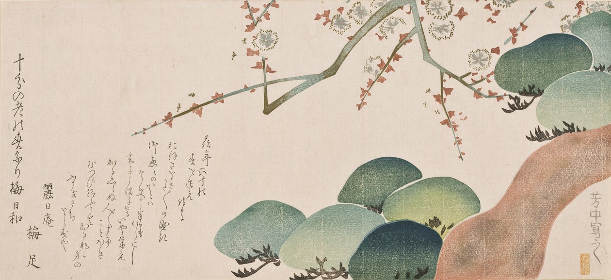 Çam Ağacı ve Erik Çiçeği, 1810-30 (renkli tahta baskı) by Nakamura Hochu