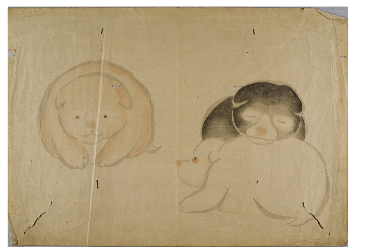 Korin