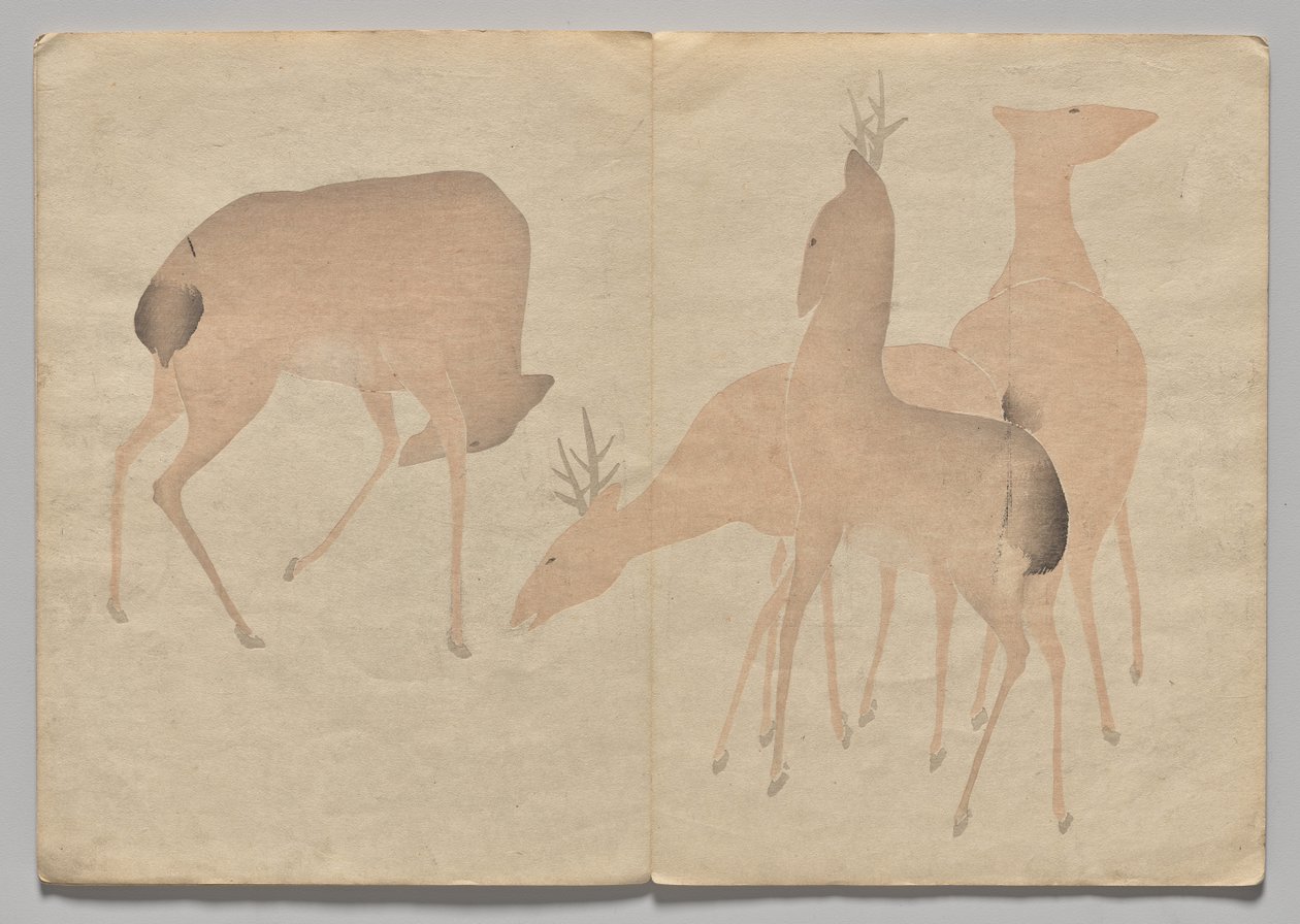 Kōrin Resimli Kitaptan Sahne (Cilt 1) by Nakamura Hochu