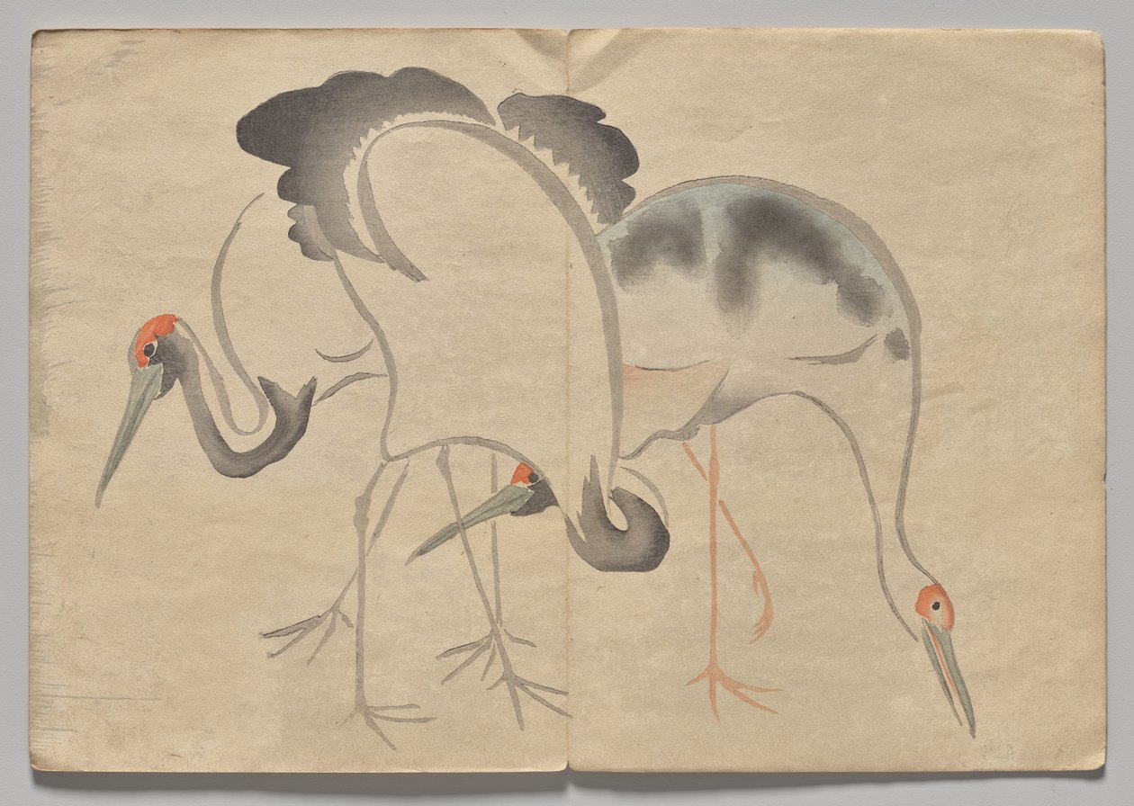 Kōrin Resimli Kitaptan Sahne (Cilt 2) by Nakamura Hochu