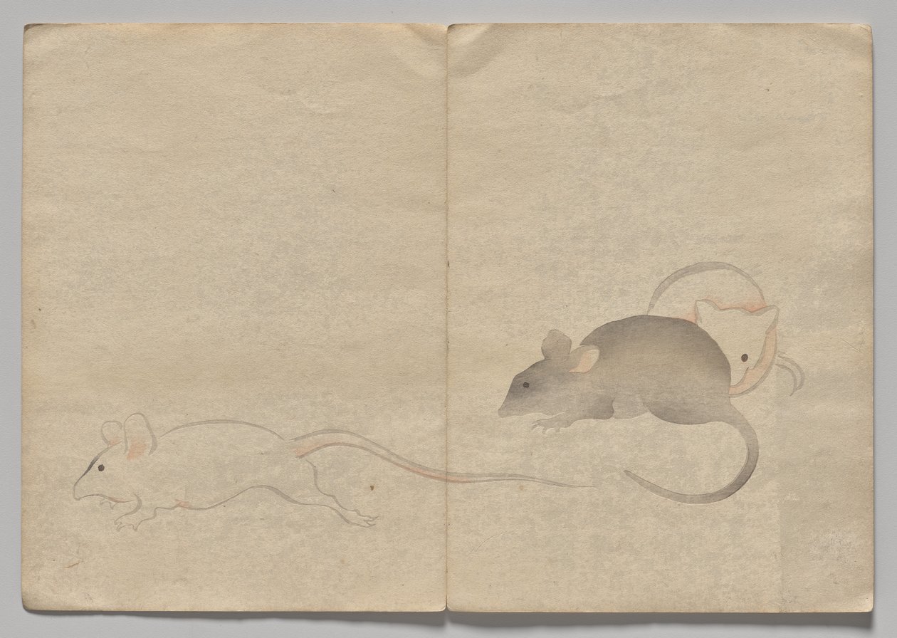 Kōrin Resimli Kitaptan Sahne (Cilt 2) by Nakamura Hochu