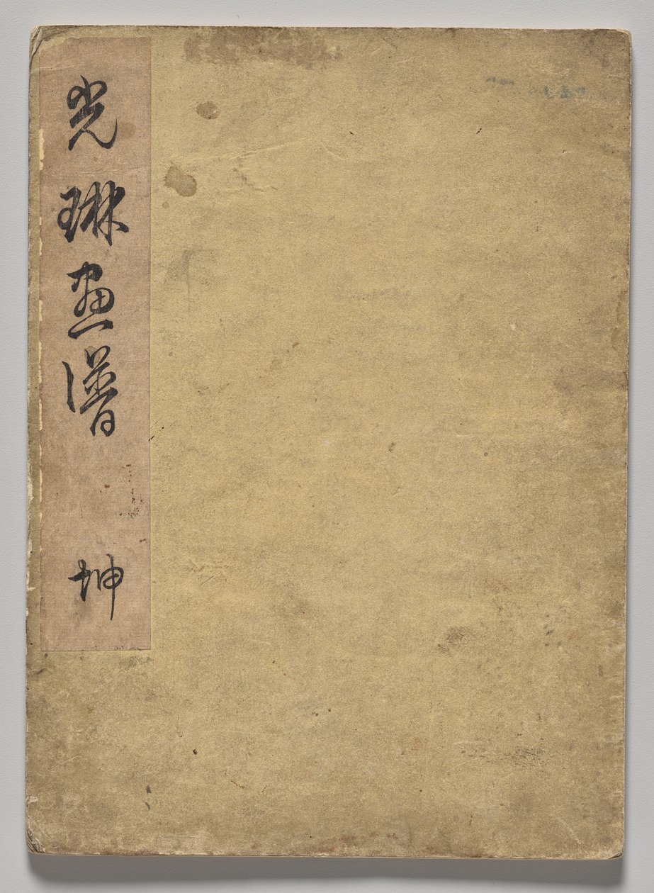 Kōrin Resimli Kitap (Cilt 1) by Nakamura Hochu