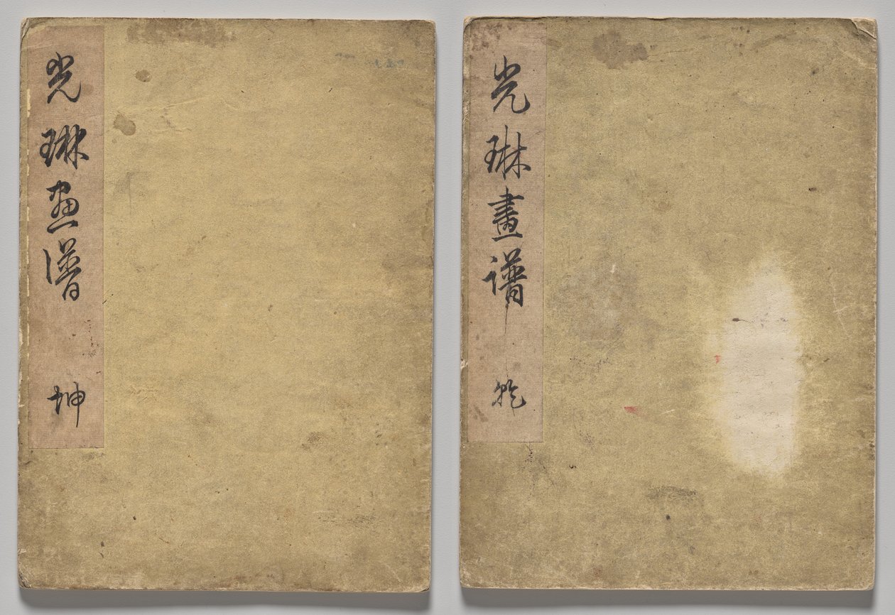 Kōrin Resimli Kitap by Nakamura Hochu