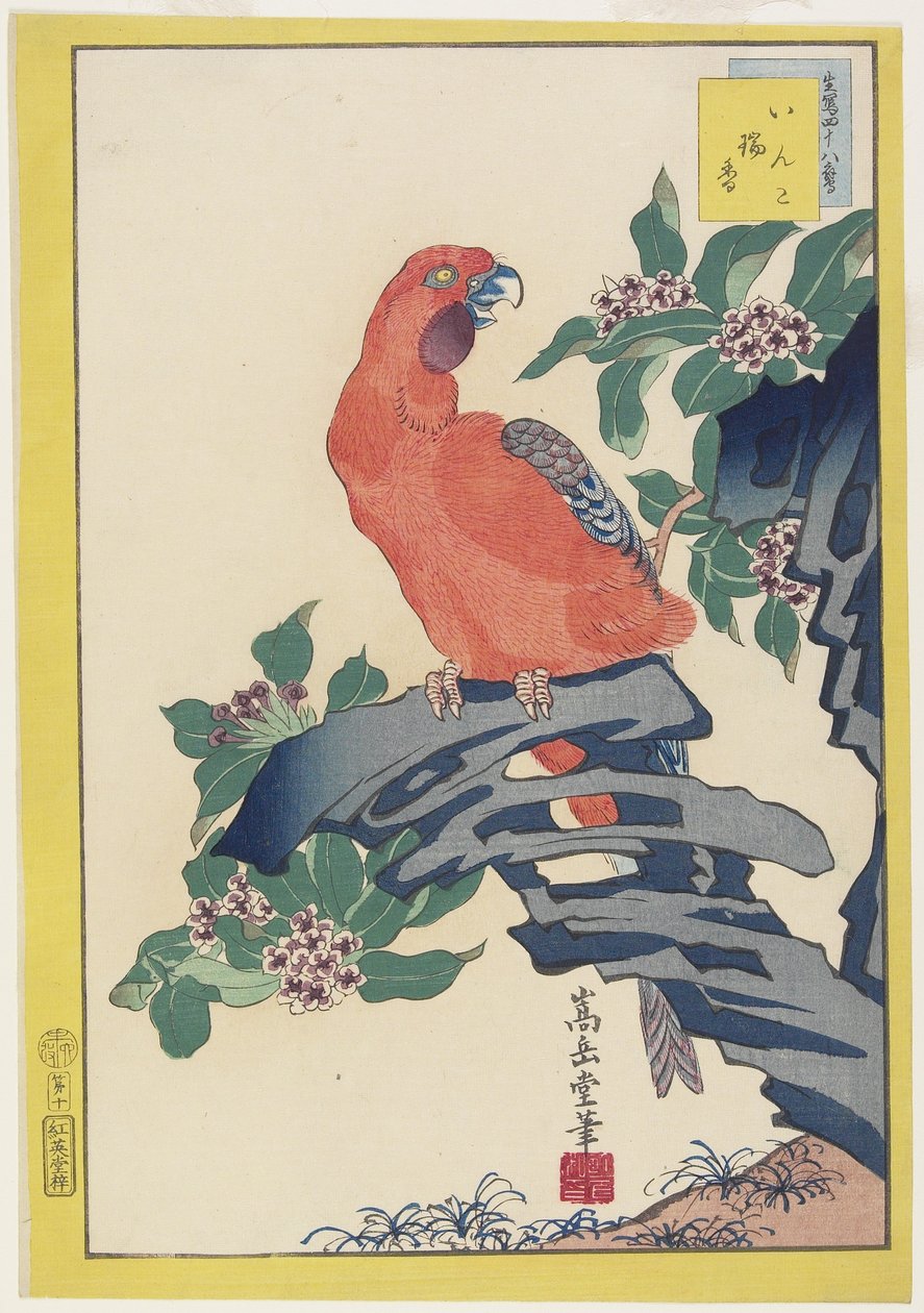 Pink Parrot on Rock, 1859 (renkli tahta baskı) by Nakayama Sugakudo