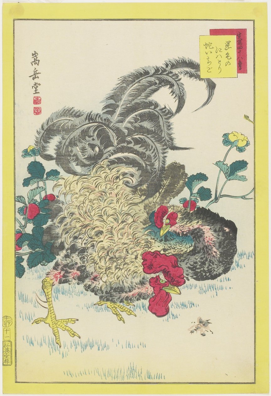 Horoz ve Ahududu, Haziran 1859 (renkli tahta baskı) by Nakayama Sugakudo