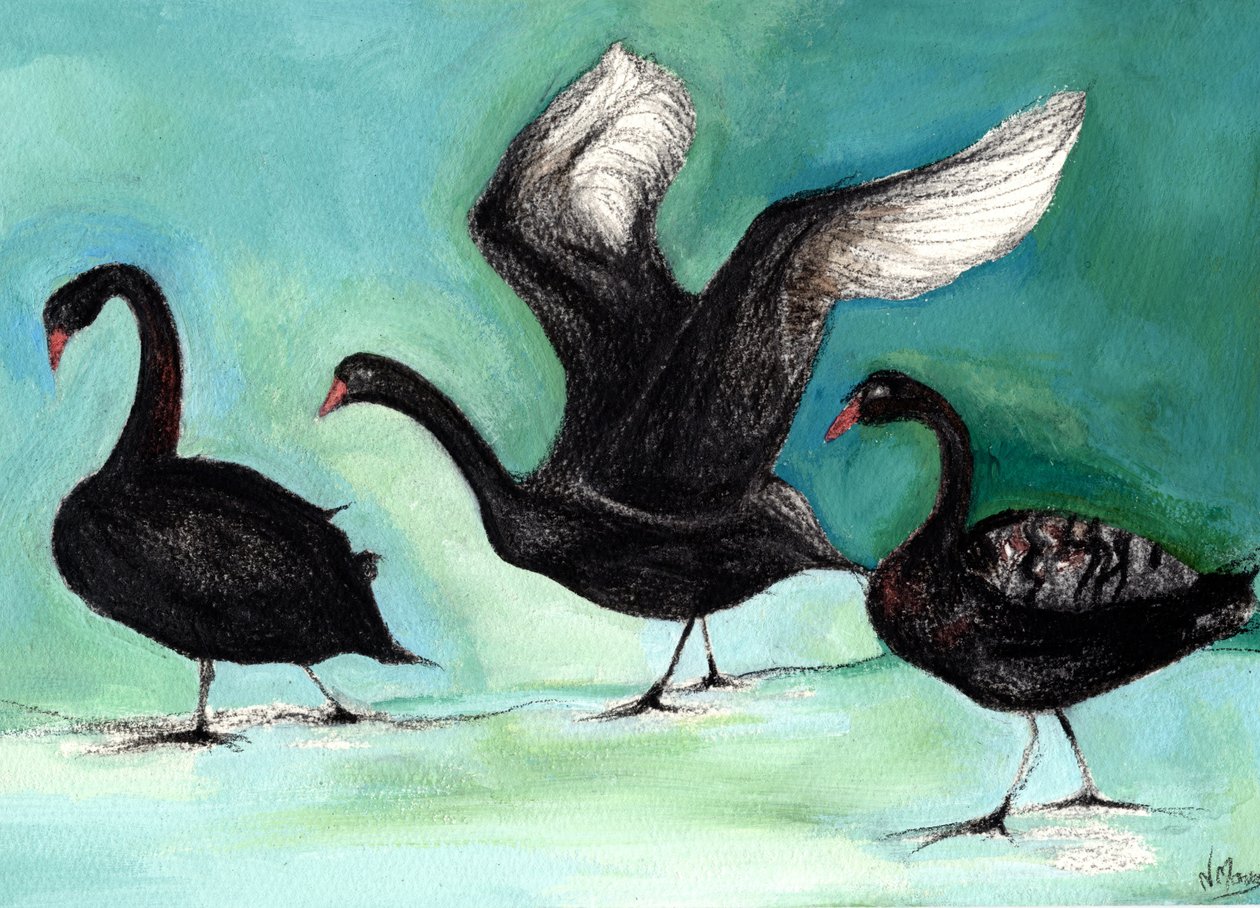Bir Kara Kuğu balesi, 2013, (kart üzerinde kömür ve guaj boya) by Nancy Moniz Charalambous