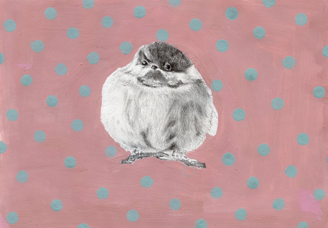 Tombul küçük paket, 2014, (kağıt üzerine guaj ve kurşun kalem) by Nancy Moniz Charalambous