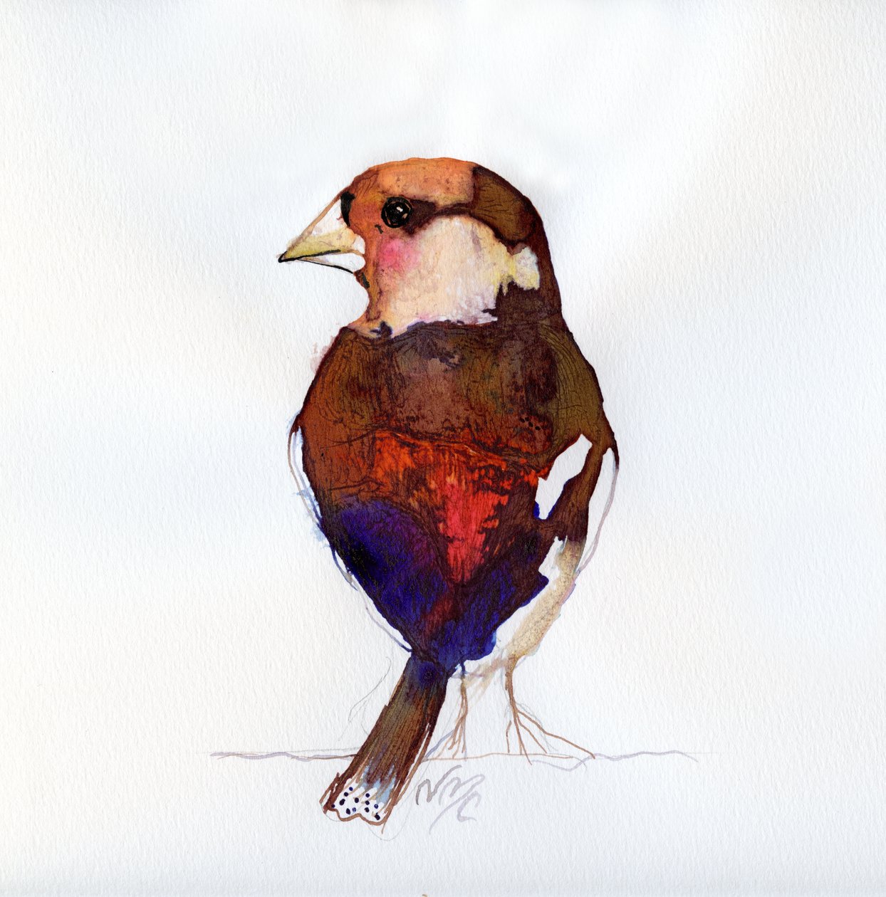 Kızarmış Hawfinch, 2017 by Nancy Moniz Charalambous