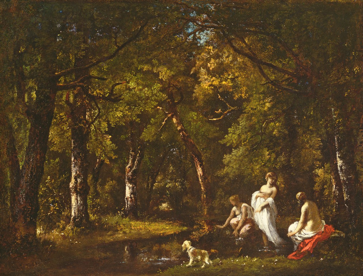 Woodland Stream