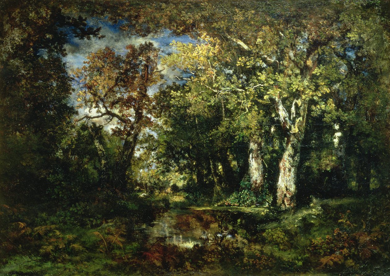 Fontainebleau
