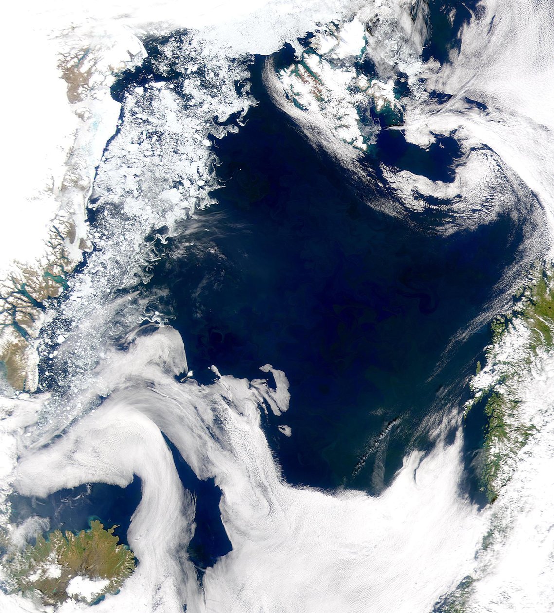 SeaWiFS Projesi, NASAGoddard Uzay Uçuş Merkezi ve ORBIMAGE Tarafından Sağlanan Kredi Grönland Denizi ve Norveç Denizi