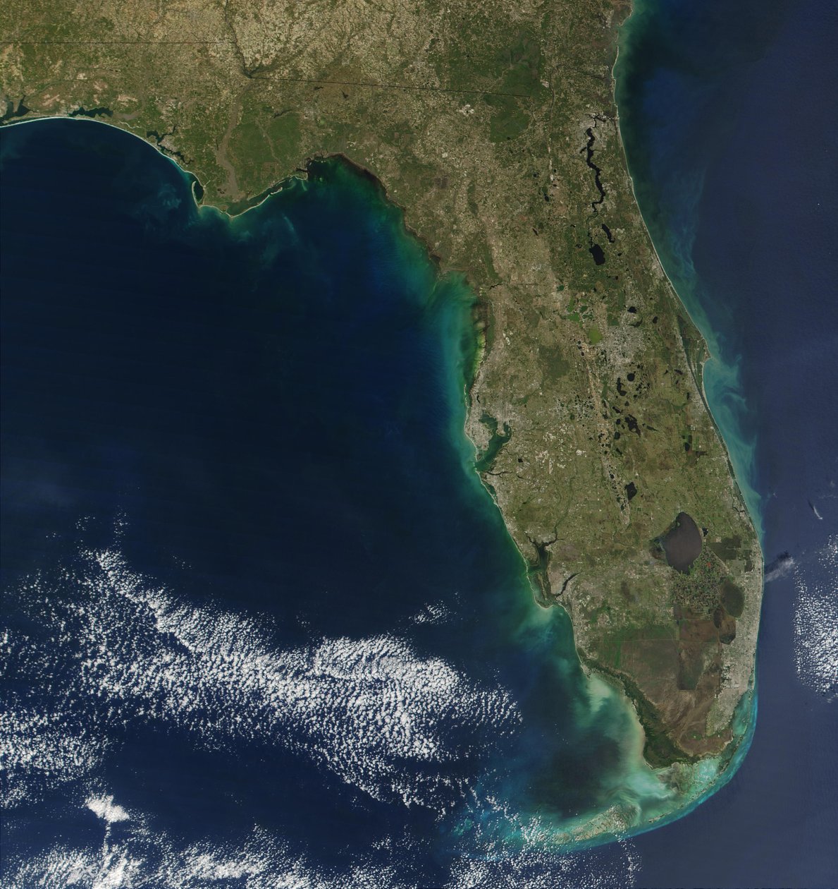 Bu uydu görüntüsünde, Florida