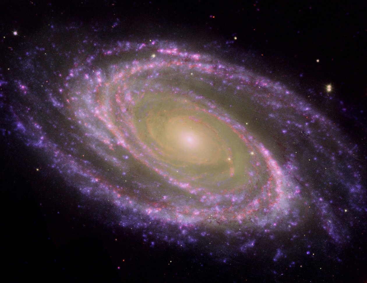 Çok dalga boylu ışıkta görüntülenen, karasal görüş hattına eğik bir açıyla eğilmiş Spiral Galaxy M81. Kredi NASA. Bilim Astronomi Yıldız Uzay by National Aeronautics and Space Administration National Aeronautics and Space Administration