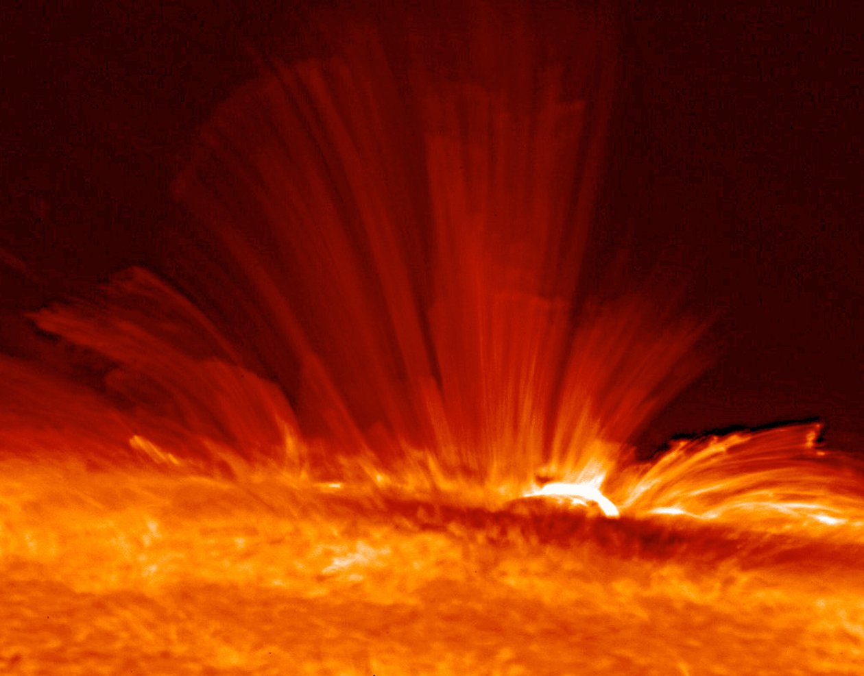 Güneşin yüzeyinden süper sıcak, elektrik yüklü gaz (plazma) yayları içeren güneş lekesi, güneş manyetik alanının yapısını ortaya çıkarır. Kredi NASA. by National Aeronautics and Space Administration National Aeronautics and Space Administration