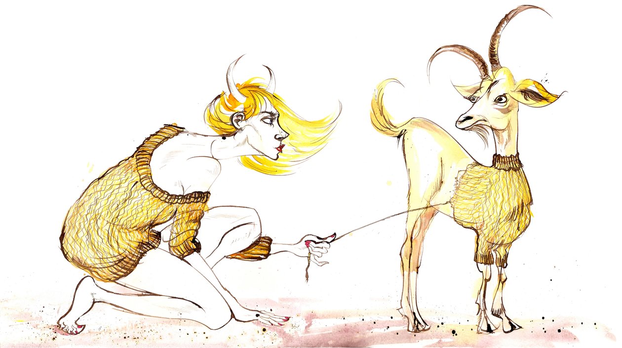 Zodyak İşaretleri: Bir dizi moda karikatüründen Oğlak kazağı, zodyakın her işareti için bir tane by Neale Osborne