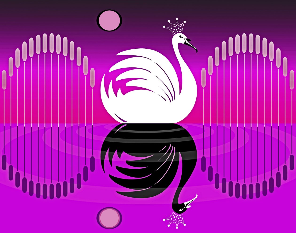 Kuğu Gölü III, 2019 by Neale Osborne
